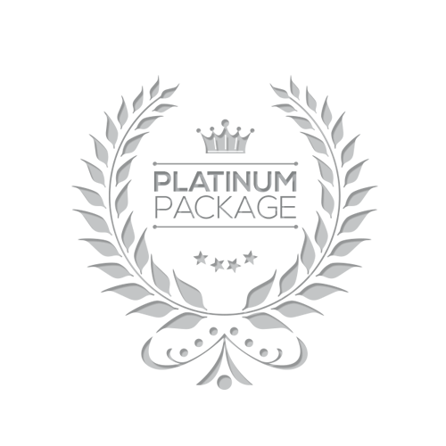 5f4ab9547c2feebb511d07d6_Platinum-Package-Graphics-Design